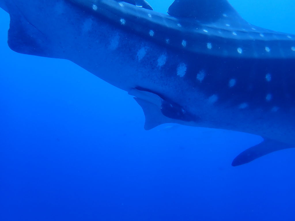 33a80656-66e7-4e3a-b887-079460f0336a