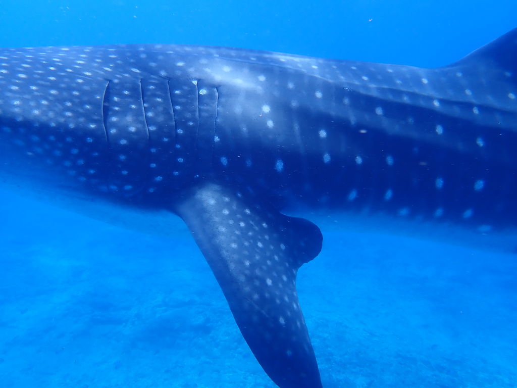 33a80656-66e7-4e3a-b887-079460f0336a