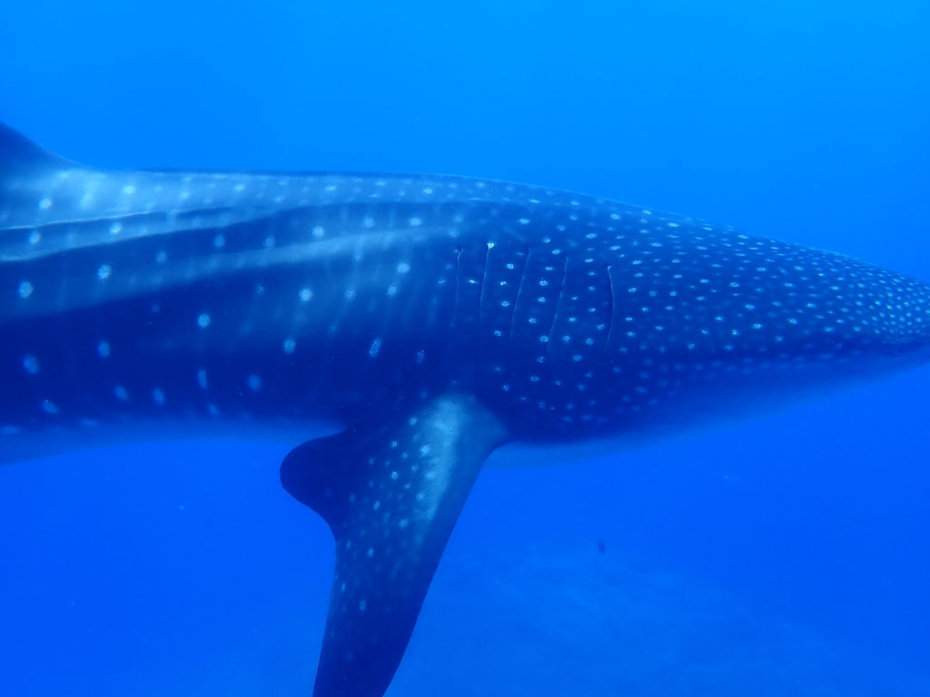 33a80656-66e7-4e3a-b887-079460f0336a