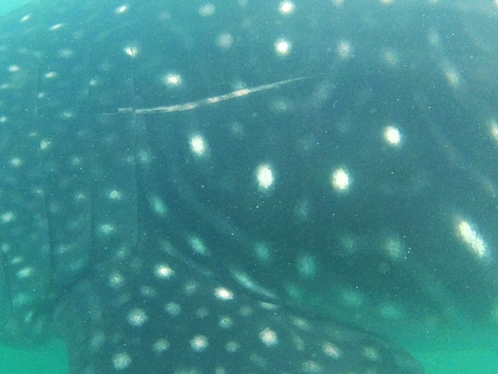 0bc0d09b-d1c6-4226-b3be-f02c274c0512