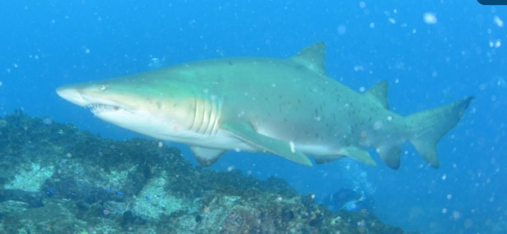 10beb0ad-faaa-464d-84fe-b8b836ccf627