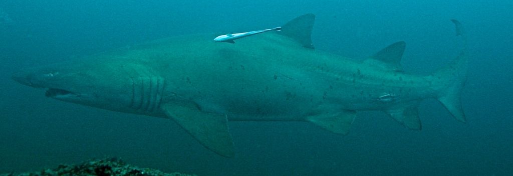 895482ca-a6c6-45c2-b1a0-06699ca1db2b