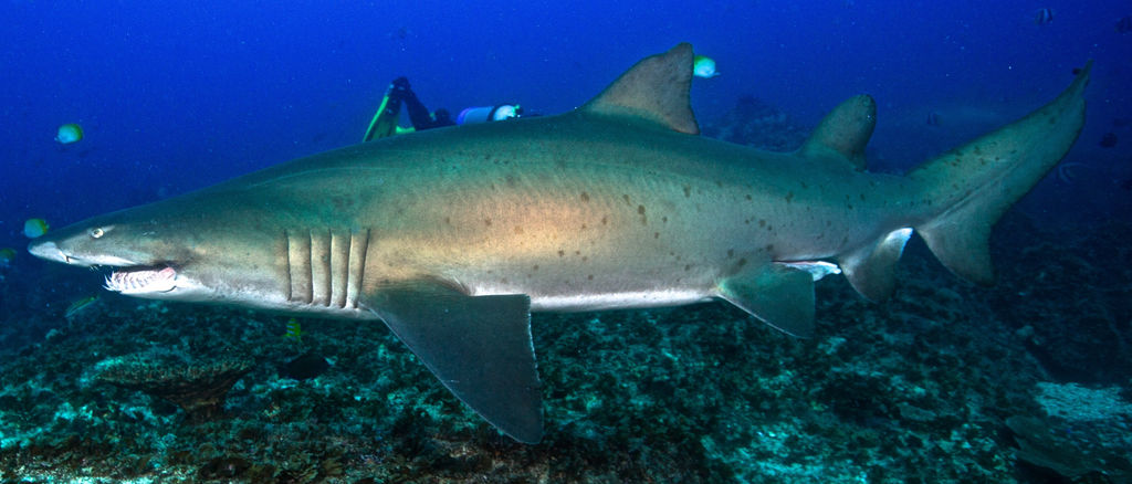 2555b292-be18-4fe3-a1ba-25e9dee61c9d