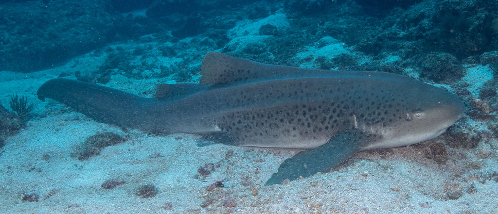 b9eaaaf1-27ad-4802-8160-9bae8b598304