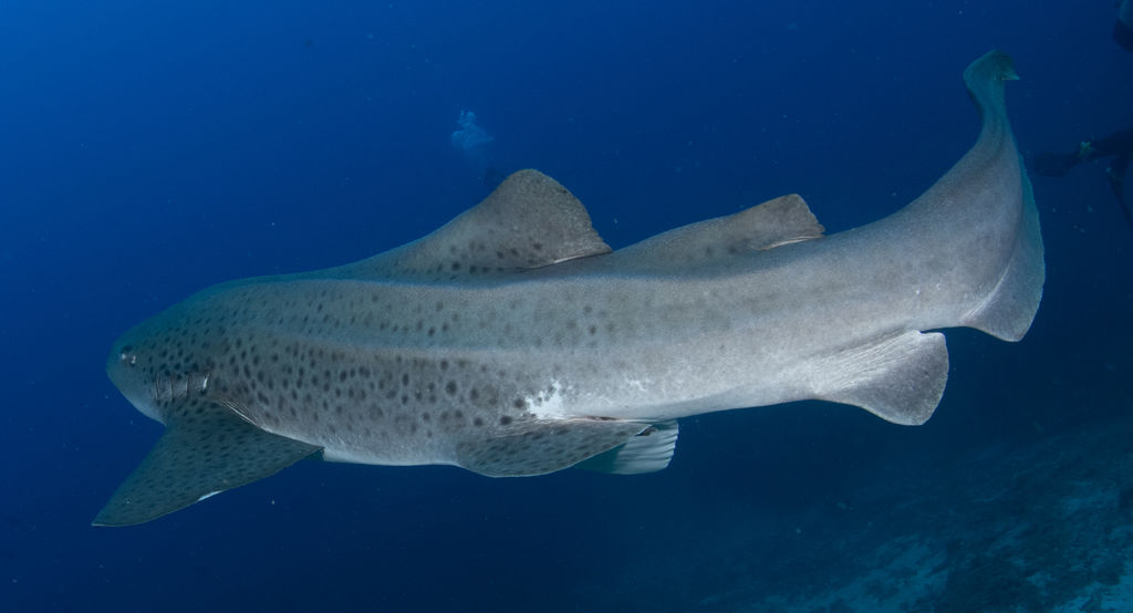 b9eaaaf1-27ad-4802-8160-9bae8b598304