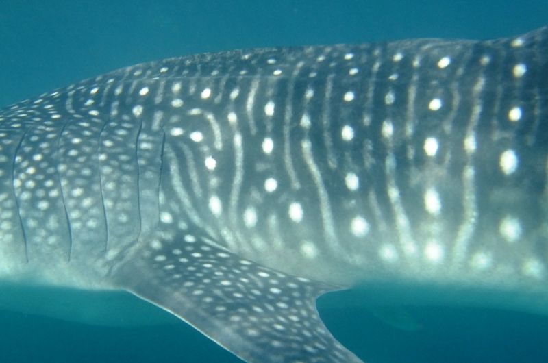 d3985119-36a9-47c7-9d99-8e09bc1d786e