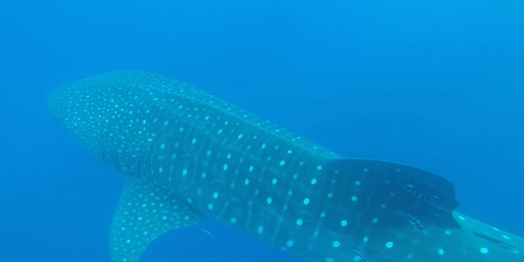 bb9aebc2-0720-44dc-974c-8c303fe37e40