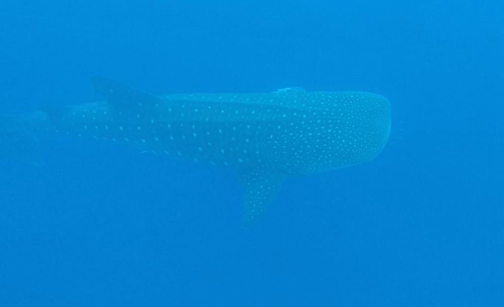 bb9aebc2-0720-44dc-974c-8c303fe37e40