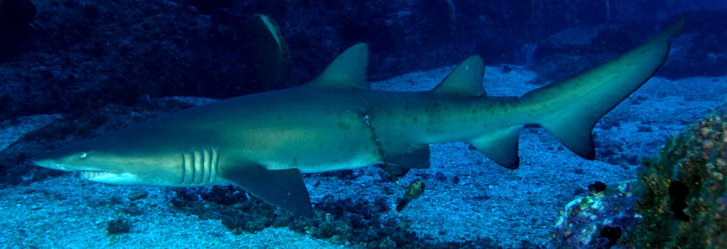 10611dd1-978c-43c9-b373-3aecaca9e822