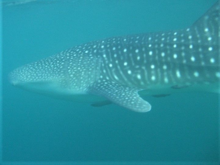 20b1f6e9-ff34-4d12-ae26-2720f3a2e619