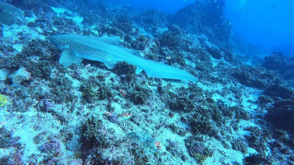 e450915a-9eba-4d67-9524-b9f9a4146cb2