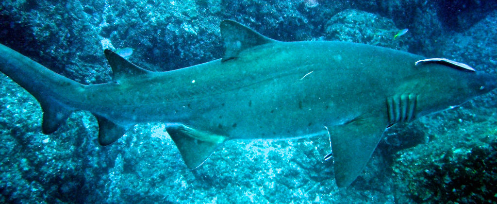 135643da-f96a-4904-a41f-b9b25e3c6b06