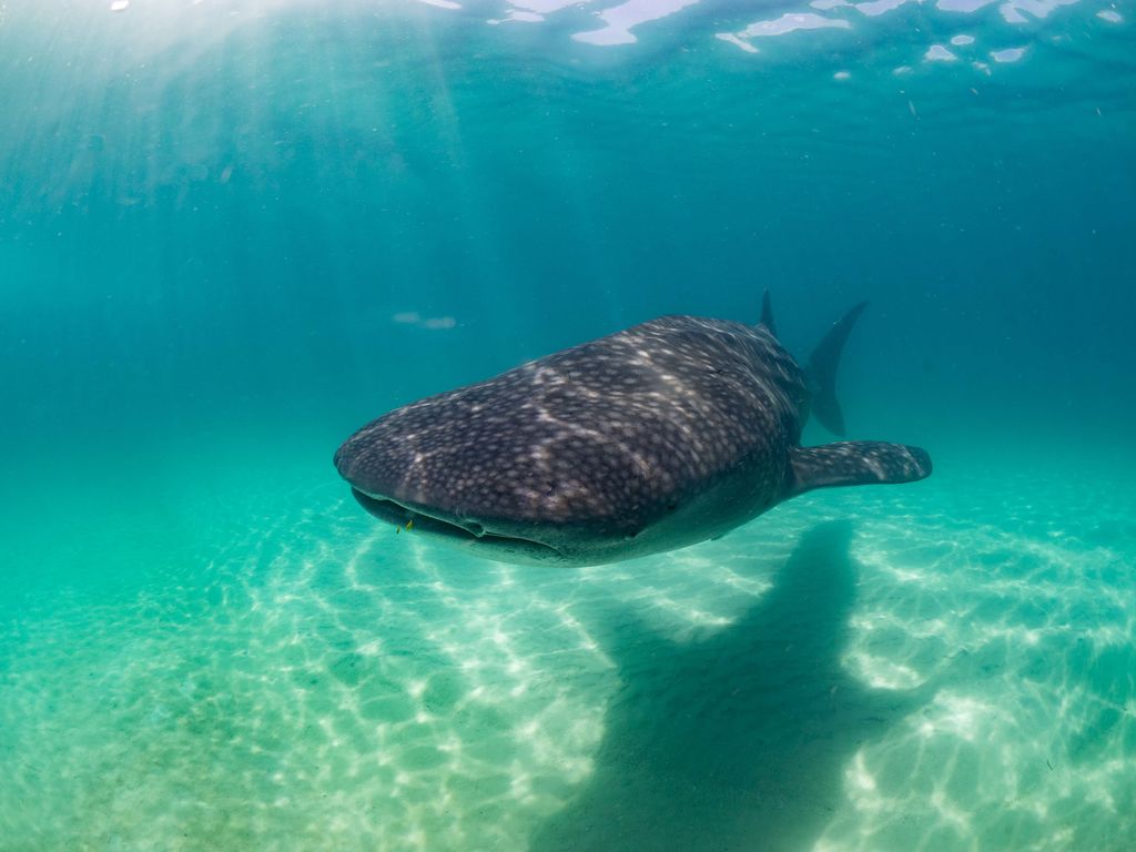 11cdf02d-a89d-4c72-b655-b241bf27a35e