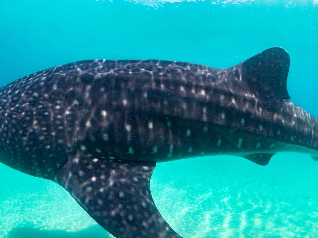 11cdf02d-a89d-4c72-b655-b241bf27a35e