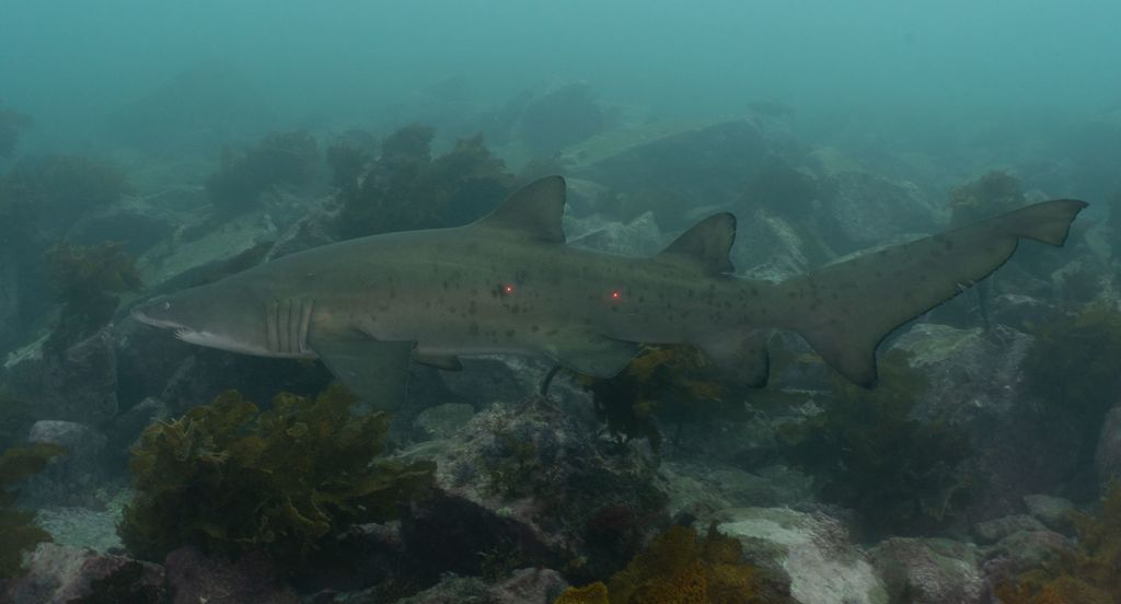 93251ab1-9047-4c1a-b0dc-4003203bbd5e