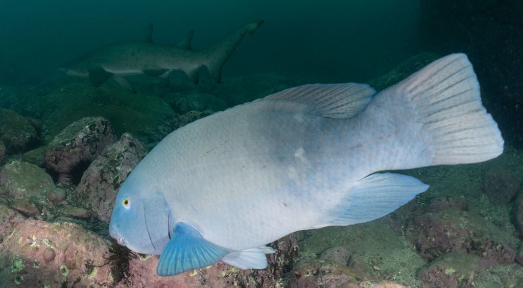 93251ab1-9047-4c1a-b0dc-4003203bbd5e