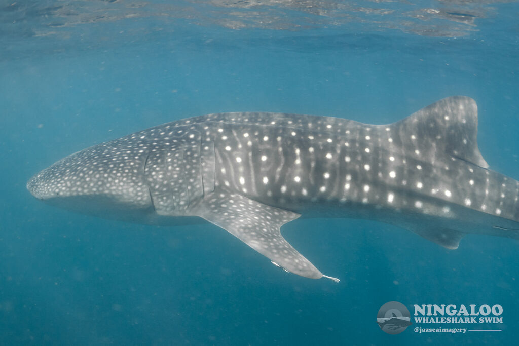 36fa390d-8401-4861-bf03-b170bdf2b6c4