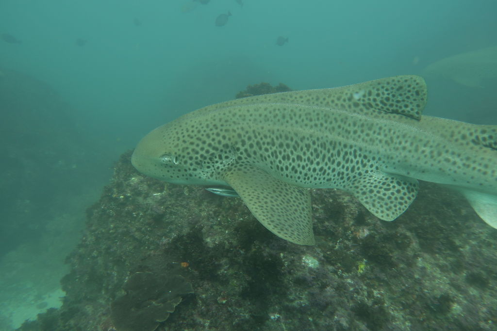 3a8ac727-08cf-456d-8203-795452334977