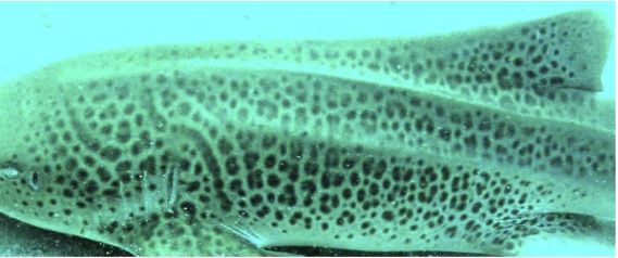 6d5ac39d-6179-4ebf-8fdb-00f763793a2f