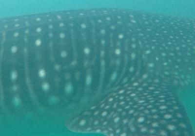 0787d9d3-a1d5-453e-9108-604d99e4027d