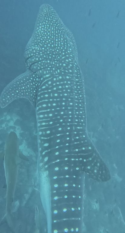 889d1ca5-a54c-4a0f-82da-41d443317bbd