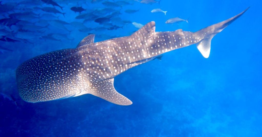 67def07d-fd88-47da-b401-2961706c7c5c