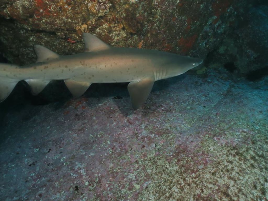 5c5d434f-8922-4e4c-a666-3452eb5ae761