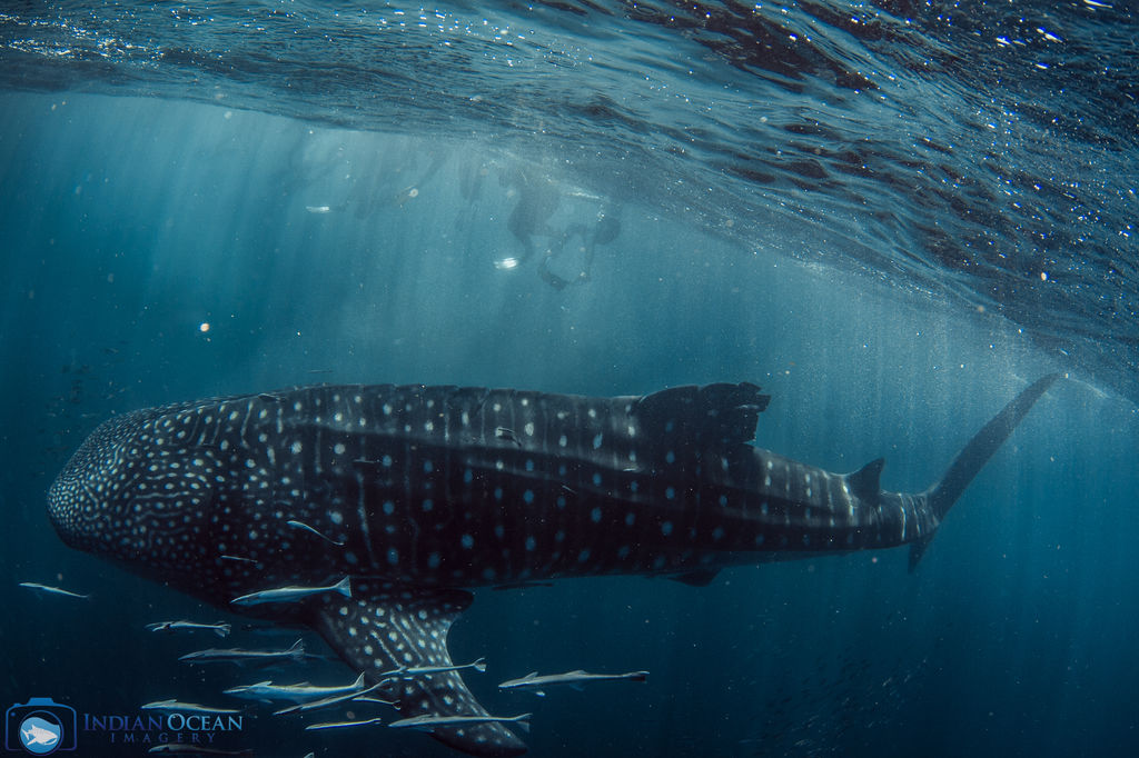 63bc75fd-75e8-430b-9ef7-9ff5a3fe0777