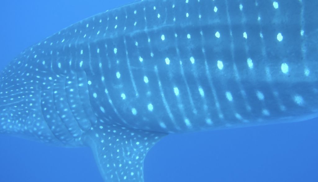 ec939f0b-9893-49a3-b3a7-8fb25ff7e280