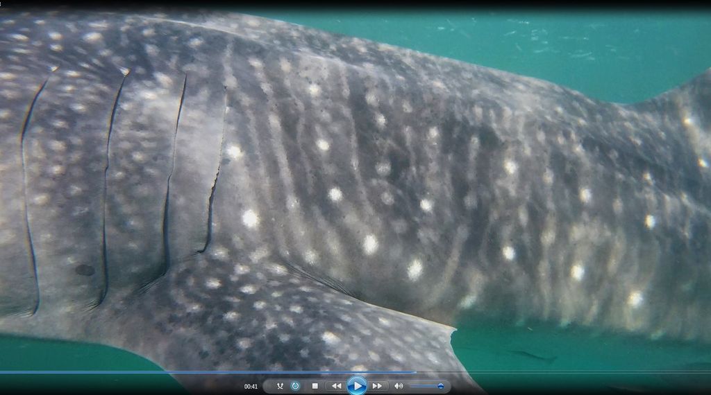 d4012751-f238-40a9-9085-ff57cc7affa3