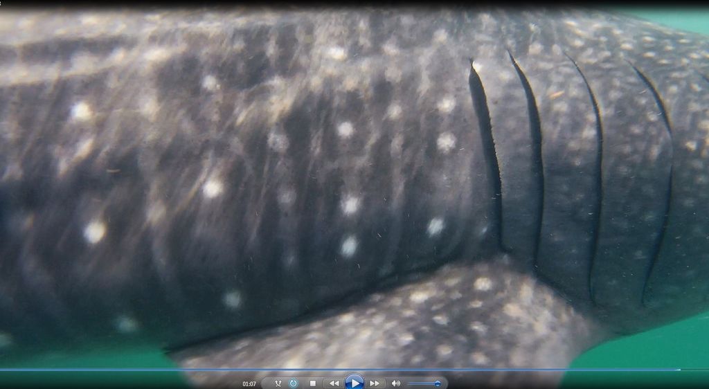 d4012751-f238-40a9-9085-ff57cc7affa3