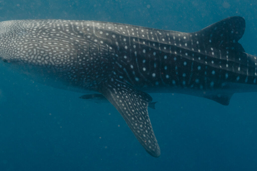 1a98dbf1-f18a-4340-b8ce-51a3e2163515