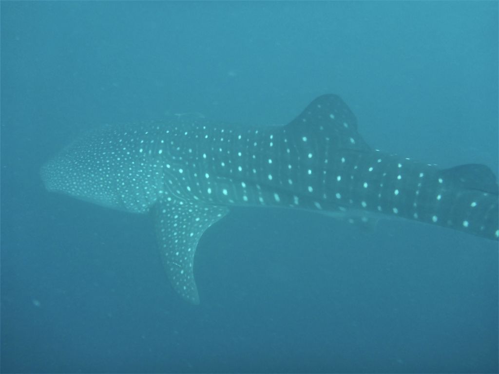 f47d049e-d7ec-47bc-a0ab-31088b2d548e