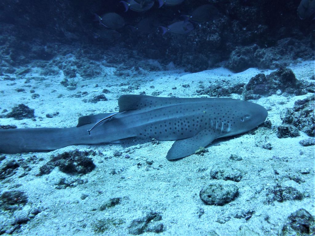 638f4934-8aec-44bd-aabf-946649a352ad