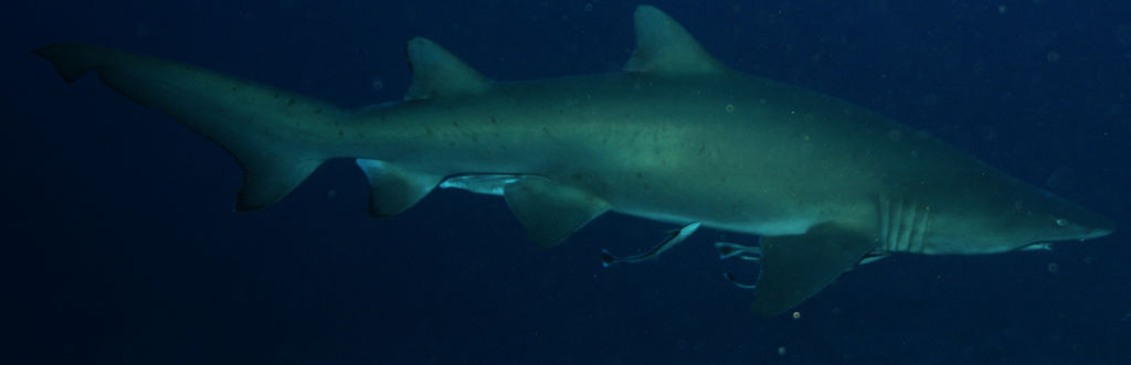 8a4694fa-8604-422f-9d4c-6b849c3d0fc7