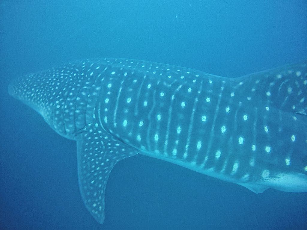 111cfdc3-a393-4edc-92e7-4b41c5d2c1ec