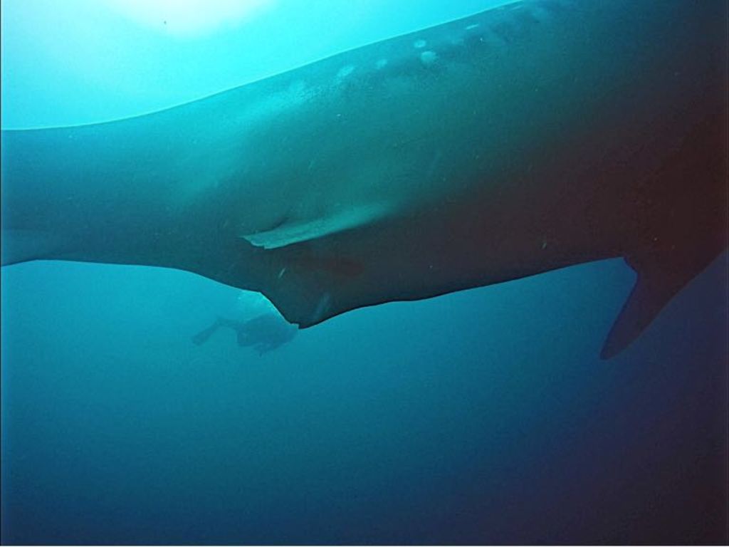 111cfdc3-a393-4edc-92e7-4b41c5d2c1ec