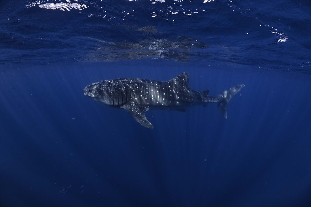 c3a0ff28-fcfd-4a7f-b4fa-f139b9632db1