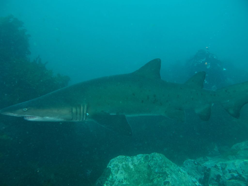 04c0b7e4-0600-4892-b545-8c6d292a8853