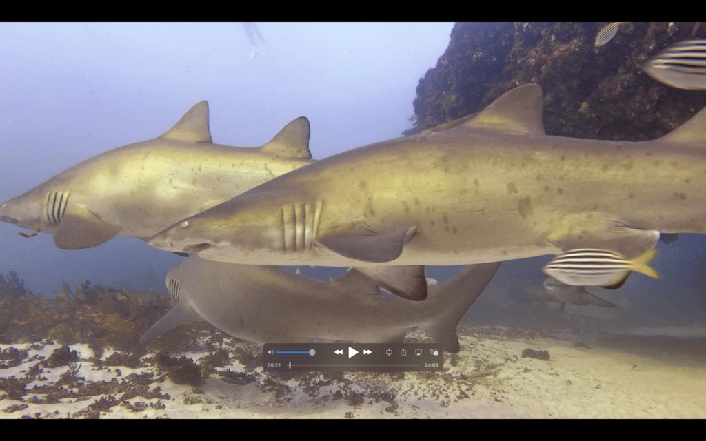 32692a94-7952-4950-85a3-7277810c6e72