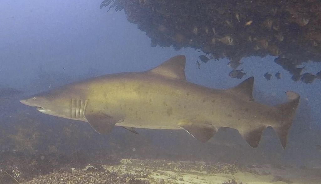 32692a94-7952-4950-85a3-7277810c6e72