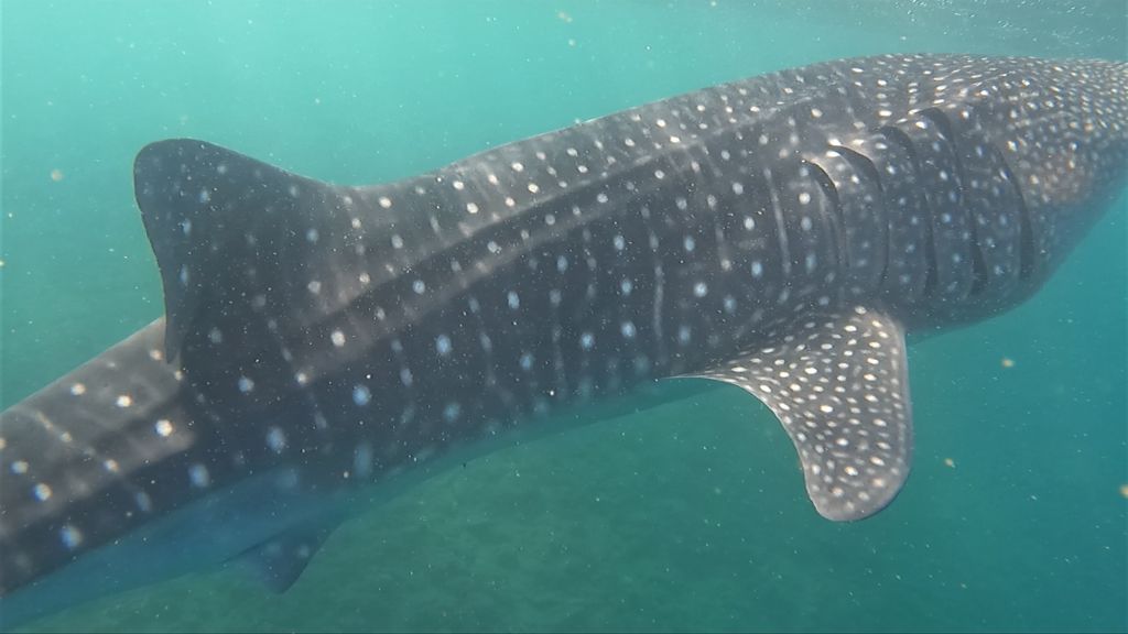 c6410345-87ac-46d0-b167-959ff18b6e43