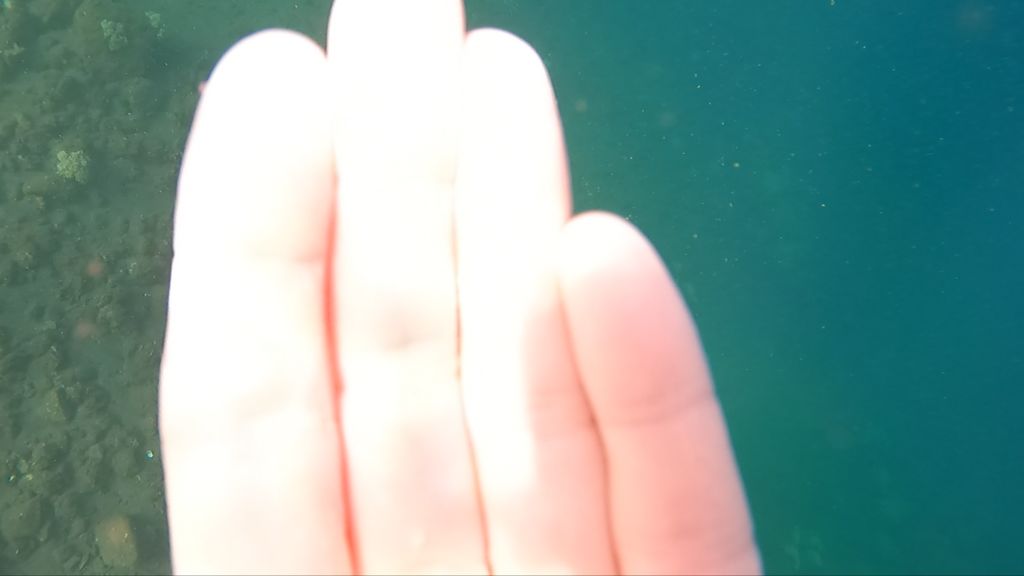 c6410345-87ac-46d0-b167-959ff18b6e43