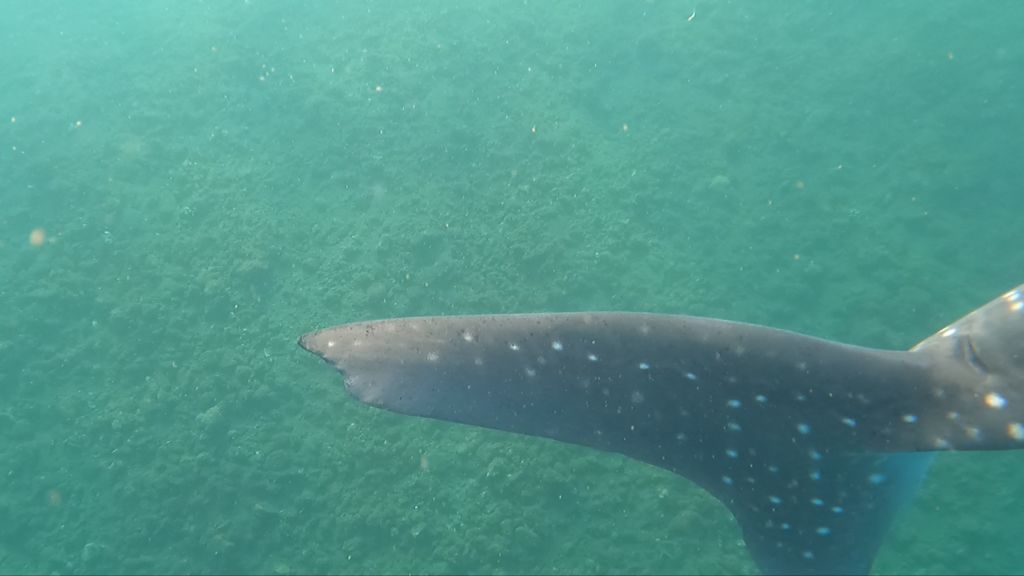 c6410345-87ac-46d0-b167-959ff18b6e43