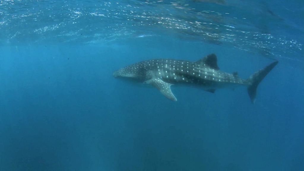 27dcaee4-82b5-4829-8f72-8f7751750a19