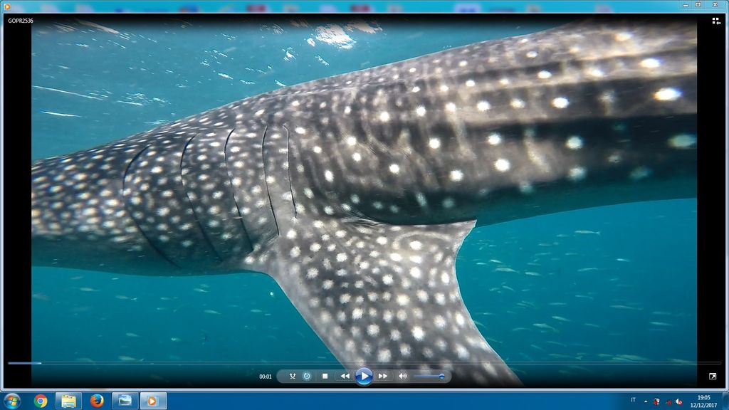 0e3f9d23-7664-472c-8549-644910165d4a