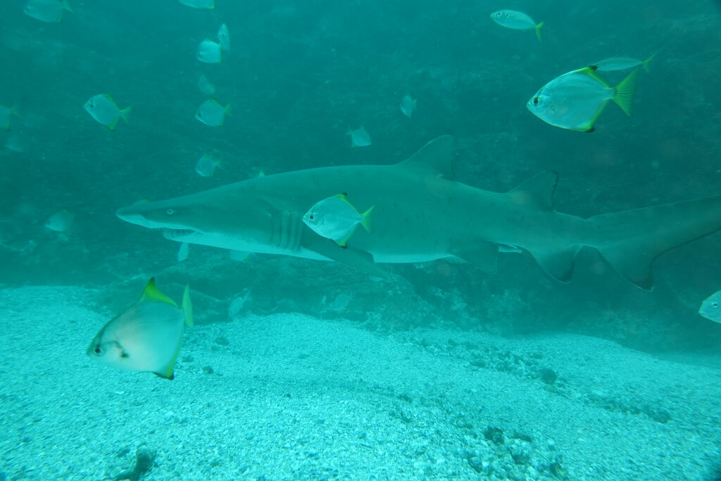 7940193c-518d-437d-962f-a7996138cbed