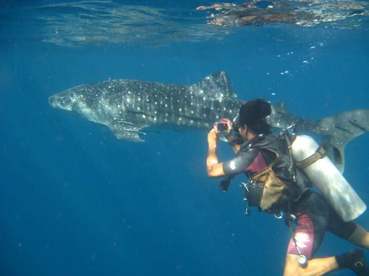 a356c3f0-65ac-4b65-a6cc-78ef5ec5b5f6