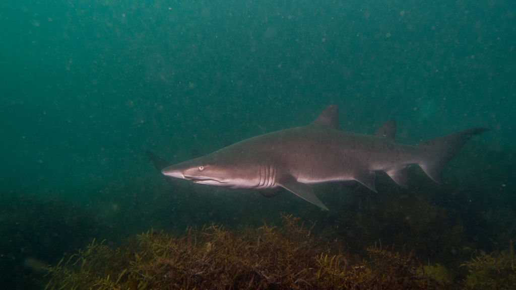 a5e2d0da-4224-4471-a35d-946318738aba