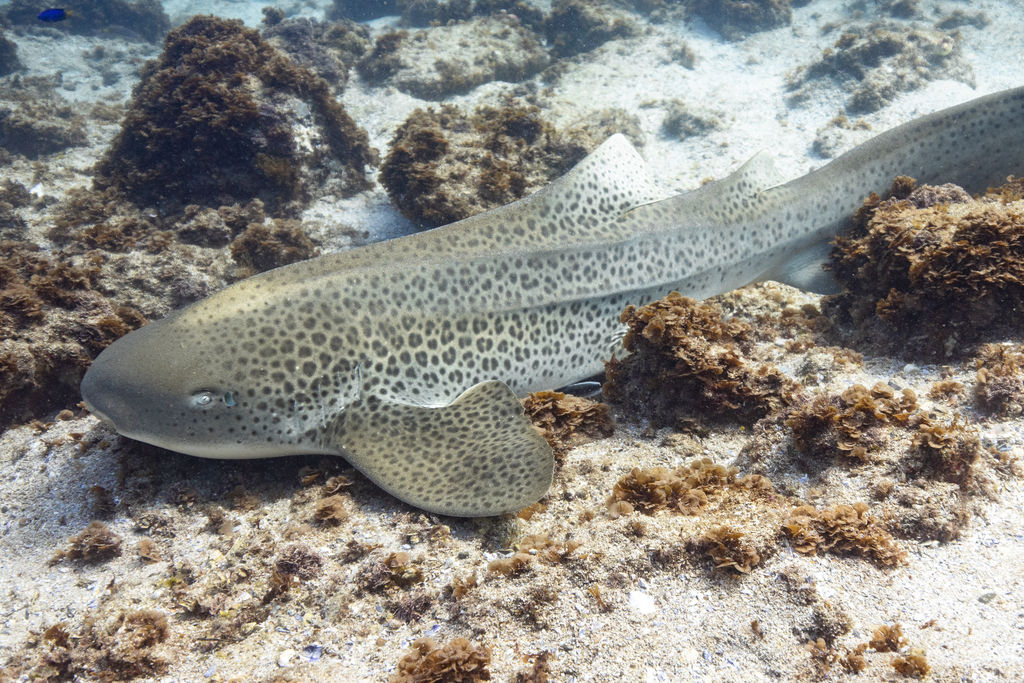 57d96075-b132-4860-a92f-5491cbb1c390